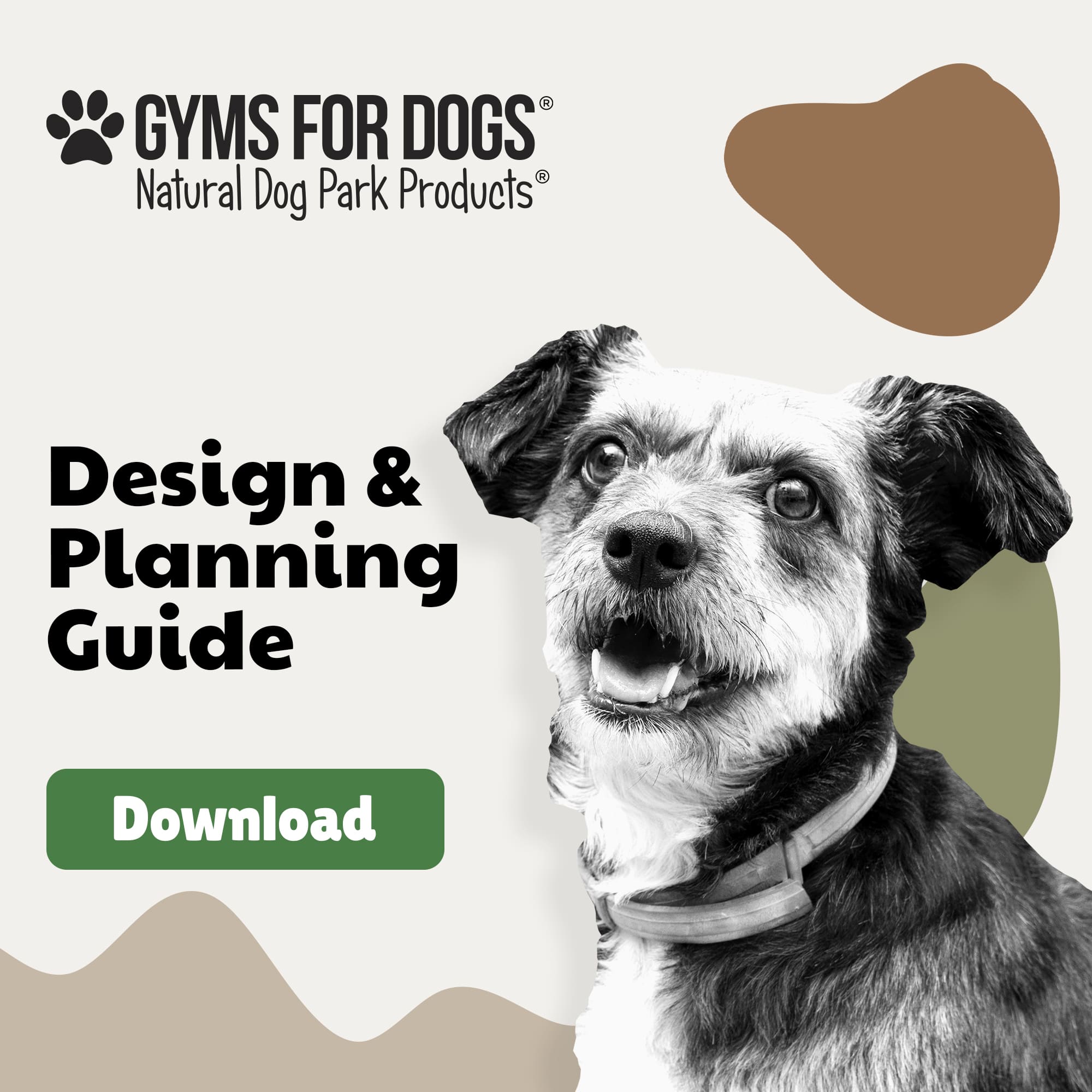 dog park equipment design planning guide