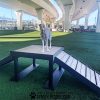 BridgeClimbPro Dog2 BridgeClimbPro Dog2