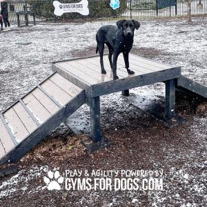 Dog Playground Equipment Bridge Climb Sport