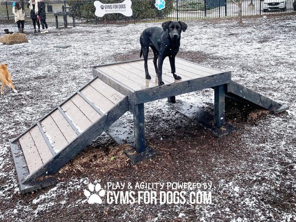 Dog Playground Equipment Bridge Climb Sport