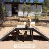 Dog Playground Equipment Bridge Climb XXL 05 Dog Playground Equipment Bridge Climb XXL 05