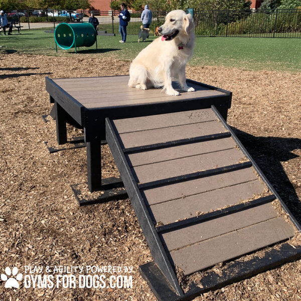 Dog Playground Equipment Bridge Climb LX 29 03