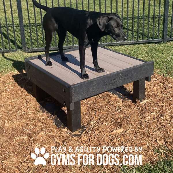Dog Playground Equipment Training Platform SM 02