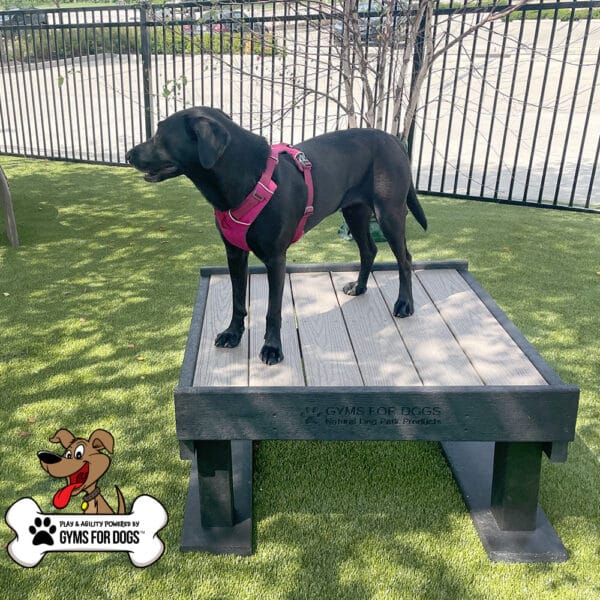 Dog Playground Equipment Training Platform SM 04