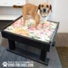 Dog Playground Equipment Training Platform SM 12