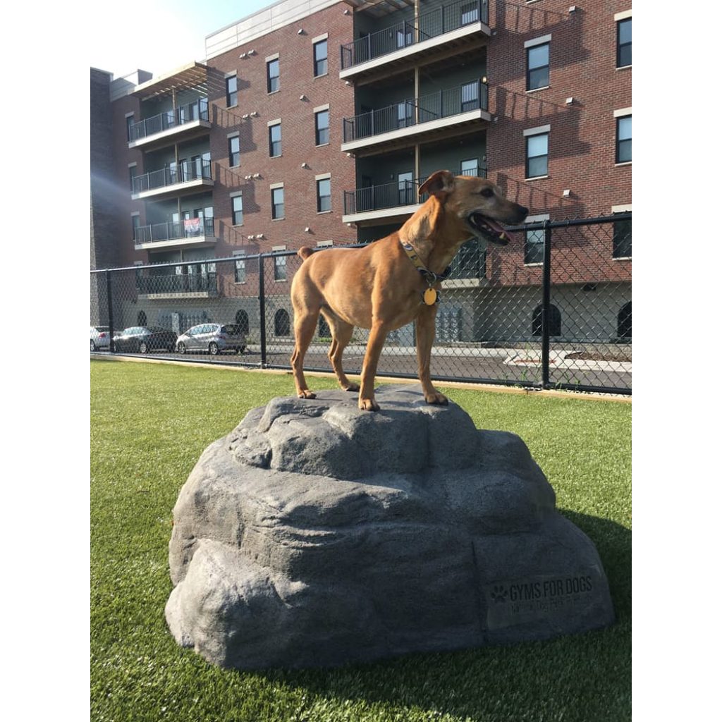 Climbing Boulder Dog Park Equipment Dog Playground Equipment