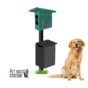 PWS Green IG