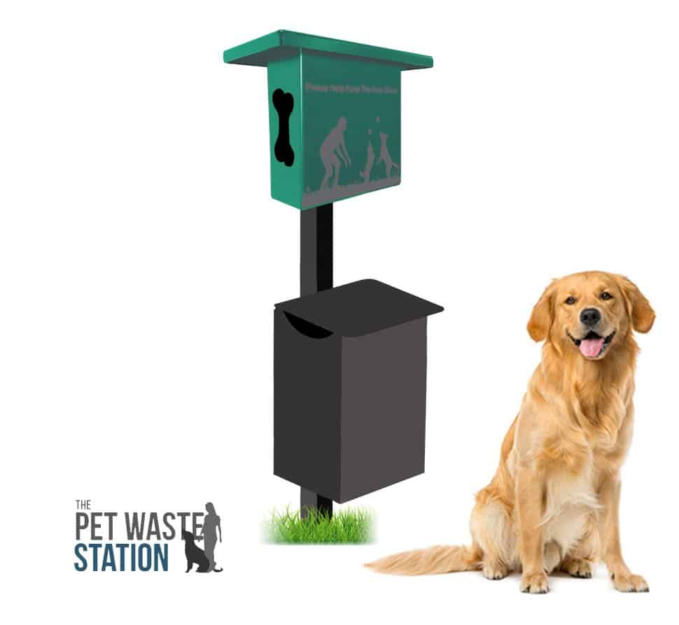 PWS Green IG