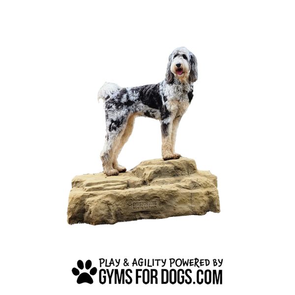 SMALL dog playground equipment luxury climbing boulder s cutout