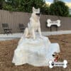 dog playground equipment luxury climbing boulder sm 05