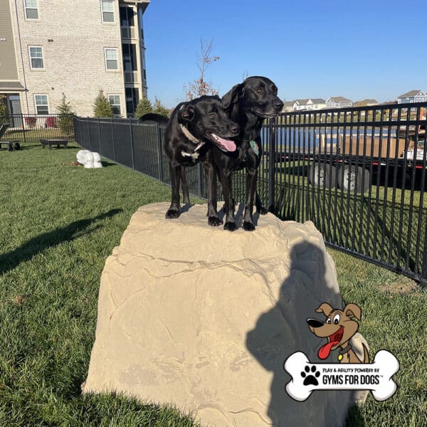 dog playground equipment luxury climbing boulder sm 09