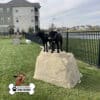 dog playground equipment luxury climbing boulder sm 10