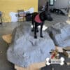 dog playground equipment luxury climbing boulder sm 17