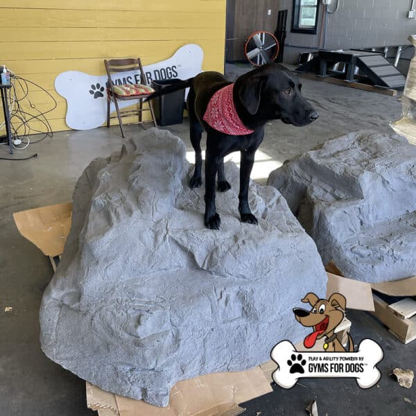dog playground equipment luxury climbing boulder sm 17
