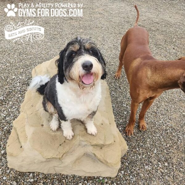 dog playground equipment luxury climbing boulder sm 20