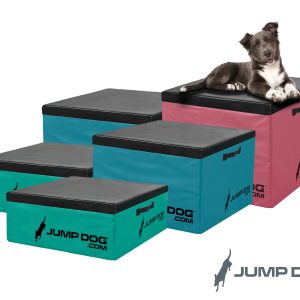 Gym For Dogs Plyo Box JUMP DOG no background