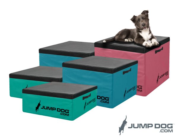 Gym For Dogs Plyo Box JUMP DOG no background