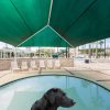 HipShade DogParkOutfitters SwimmingPoolShade2
