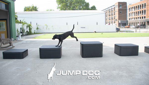 JumpDog AgilityTrainingBoxes fullSet 600x345
