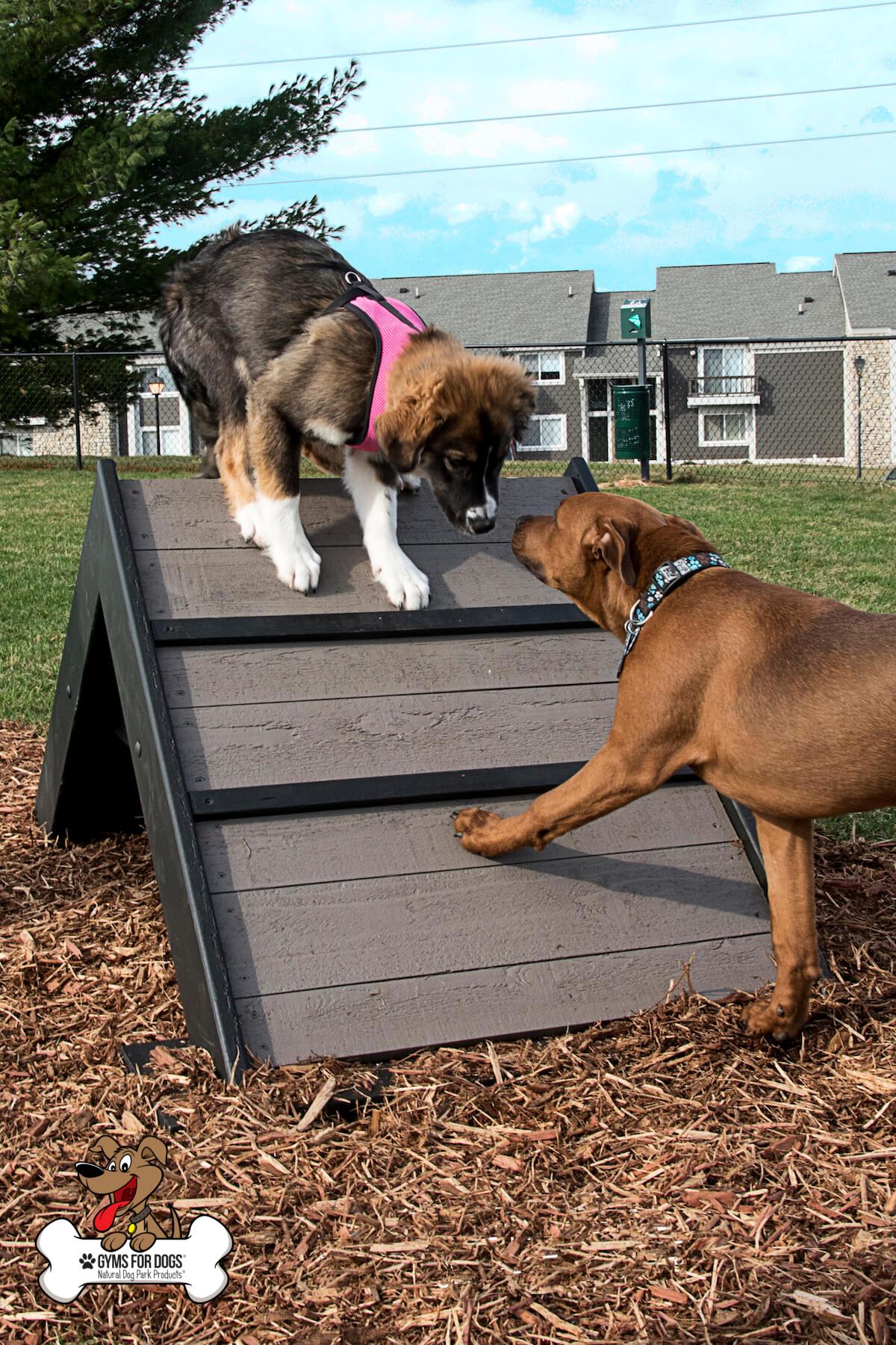 Mini Hill Climb Gyms For Dogs Agility Products 2ss