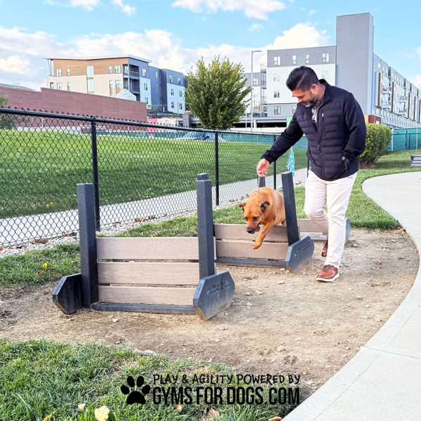 Jump Hurdles Bella Fishers District Gyms For Dogs