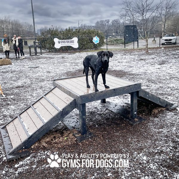 Dog Playground Equipment Bridge Climb LX 29 012