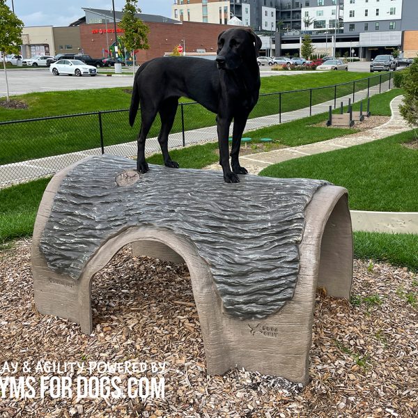 Gyms For Dogs Hammies Tunnel House SM 11