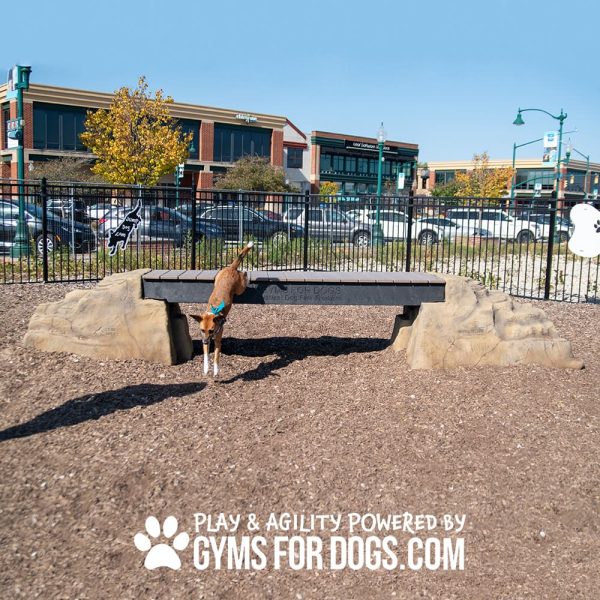NEW dog park equipment ellies boulder bridge pro ClayTerrace