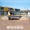 NEW dog park equipment ellies boulder bridge pro ClayTerrace2