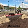 dog park equipment ellies boulder bridge pro ClayTerrace13 dog park equipment ellies boulder bridge pro ClayTerrace13
