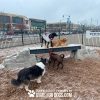 dog park equipment ellies boulder bridge pro ClayTerrace4