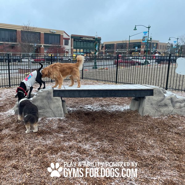 dog park equipment ellies boulder bridge pro ClayTerrace6