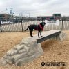 dog park equipment ellies boulder bridge pro ClayTerrace8