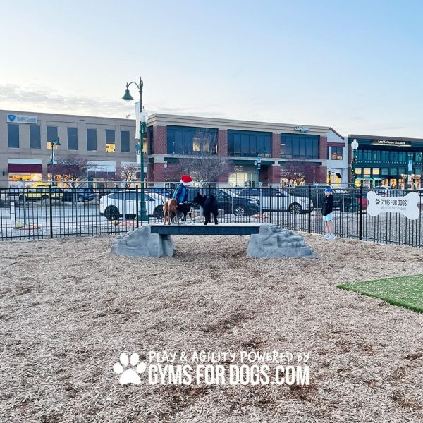 dog park equipment ellies boulder bridge pro ClayTerrace9