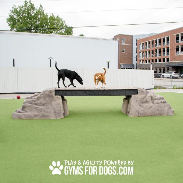 dog park equipment ellies boulder bridge pro RangelineRd10