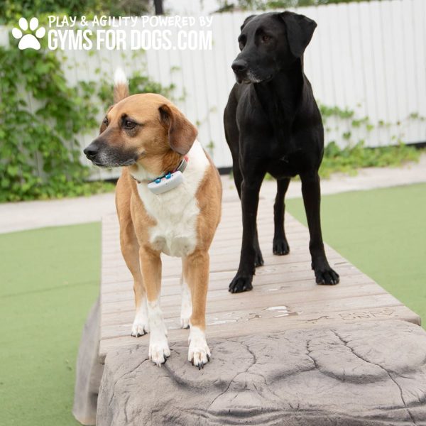 dog park equipment ellies boulder bridge pro RangelineRd12