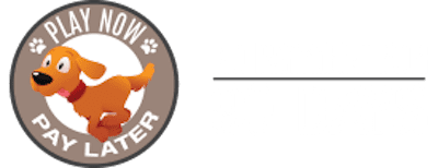 Buy Now Pay Later Logo 2