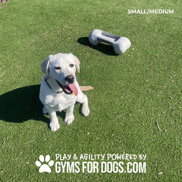 BoneBowlSmall 3 1.jpg