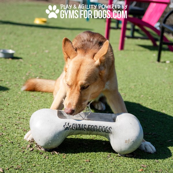 NEW BoneBowlSmall.jpg