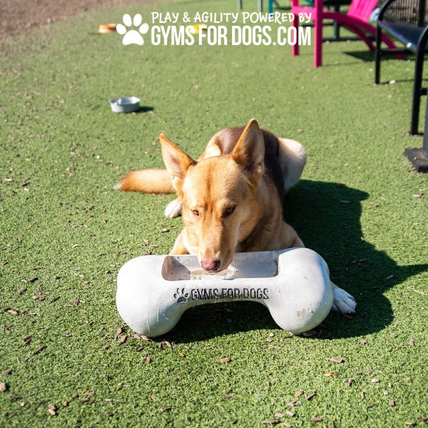 NEW BoneBowlSmall2.jpg