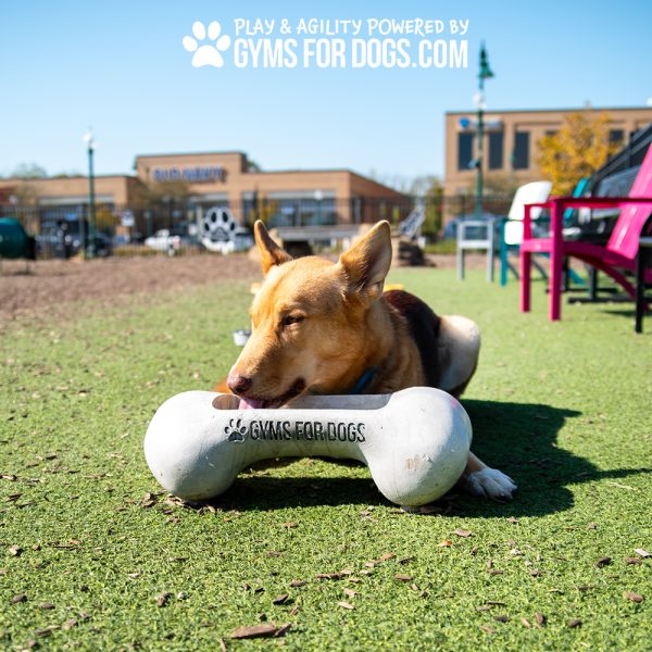 NEW BoneBowlSmall3.jpg