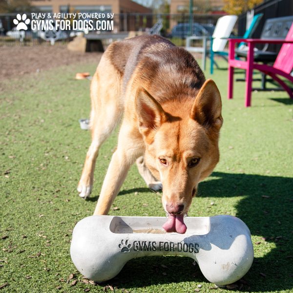 NEW BoneBowlSmall6.jpg