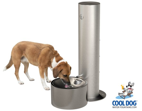 DL 1000 SLV MAINIMAGE 1.jpg - Gyms For Dogs DL 1000 SLV MAINIMAGE 1.jpg