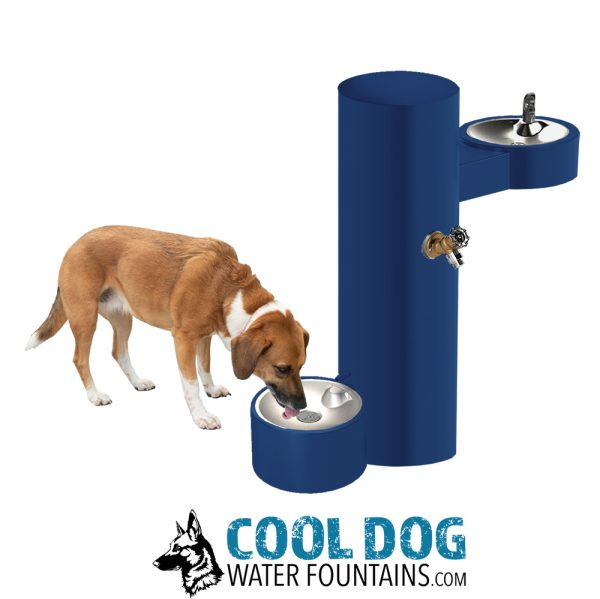 DL 2000 DWC SST blueRizzo.jpg