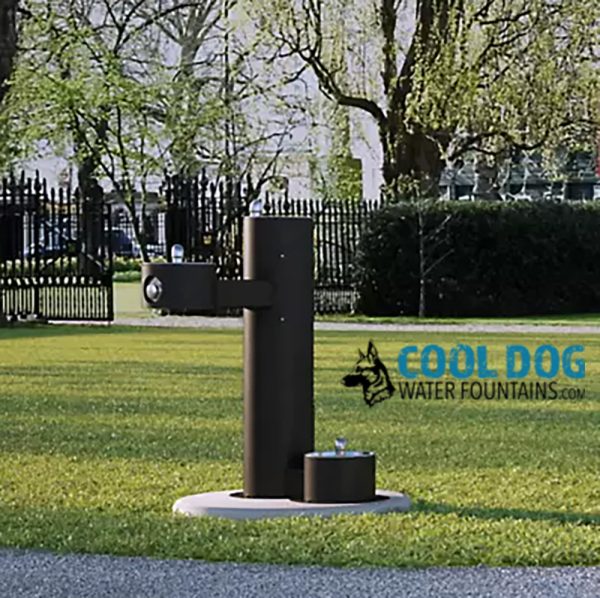 DL 2000 STE BLK 2.jpg - Gyms For Dogs DL 2000 STE BLK 2.jpg