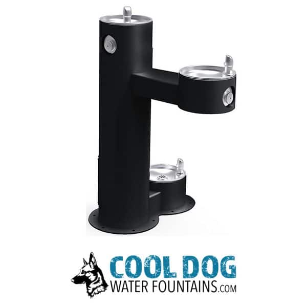 DL 2000 STE BLK 4.jpg - Gyms For Dogs DL 2000 STE BLK 4.jpg