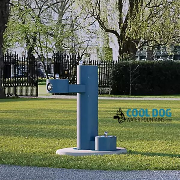 DL 2000 STE BLU 2.jpg - Gyms For Dogs DL 2000 STE BLU 2.jpg
