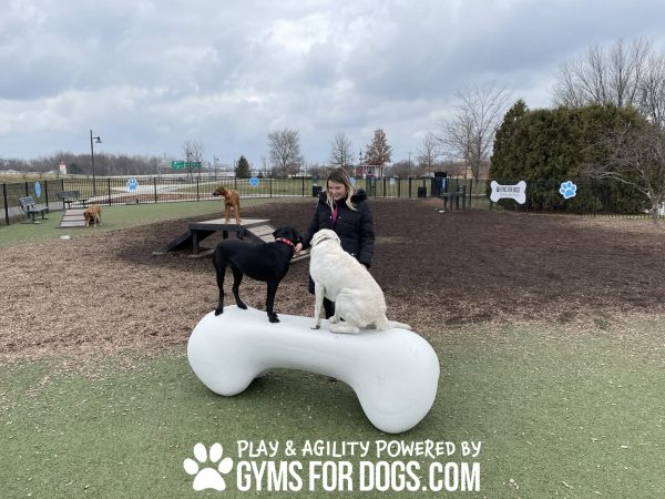 AgilityBone Large GymsForDogs Winter2 scaled 1.jpg