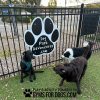 Custom DPASign Black2
