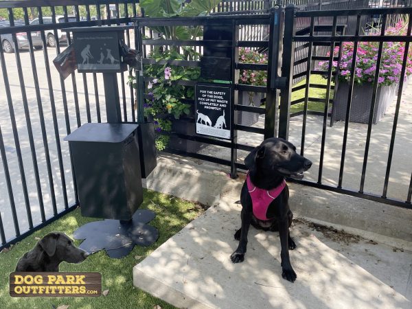 DPO PickUpBW Maggie scaled 1.jpg